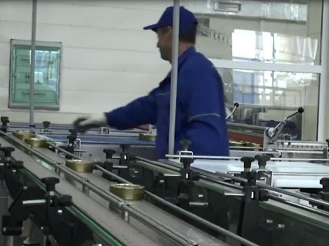 Транспортер пластинчатый (Универсальный) в Волчихе